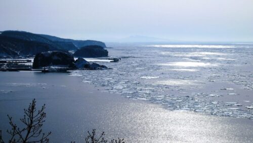 プユニ岬からの流氷