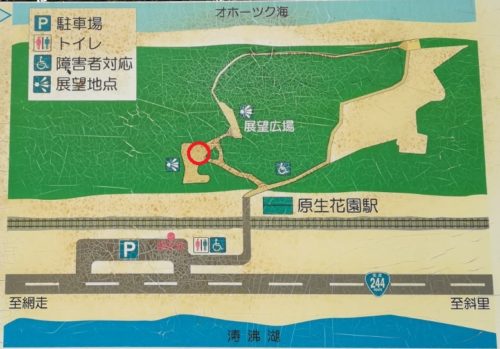 天皇陛下の散策記念碑の地図