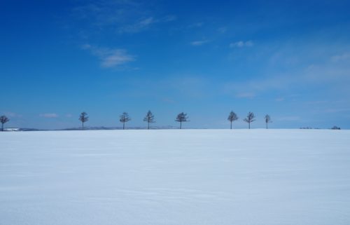 冬のメルヘンの丘